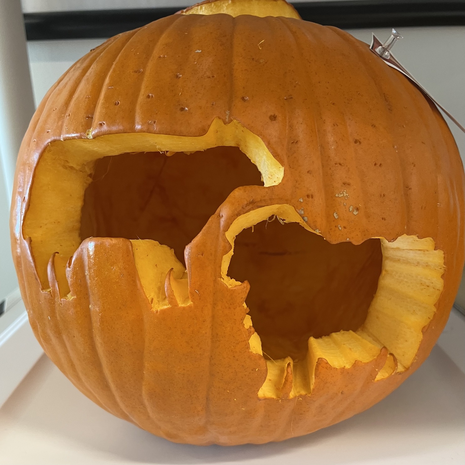 Midge attack! by Tillie